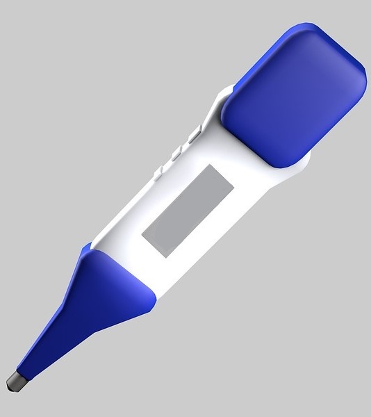 Digital Thermometer